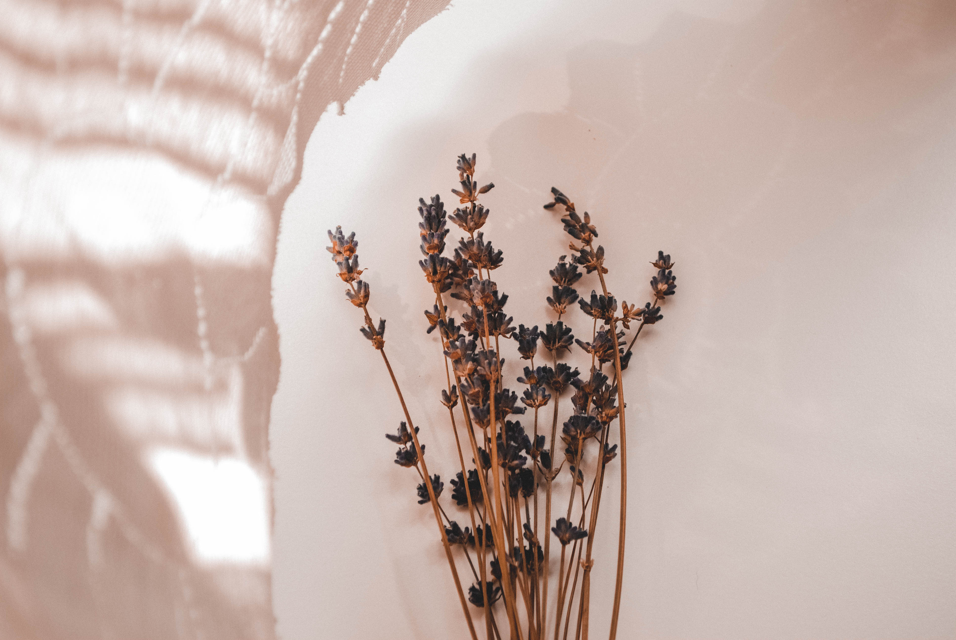 Green Leaf on White Textile